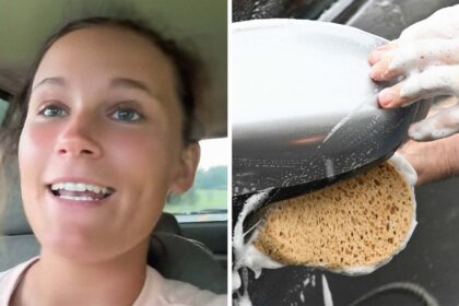 lawyer up immediately woman takes her car into dealership to get it detailed then the dealership sells it 688e444839591