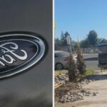 man says his ford ranger can do anything then he tries to pull a tree out of the ground 68ac97320fb74