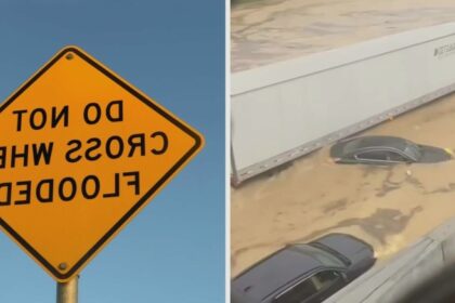 somebody getting fired floods strike tennessee but this trucker isnt going to let that stop their delivery 68a1dddc53f60