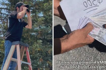 the oldest of american traditions car experts say the dmv knows people lie about how much cars cost what if you get caught 68a43e943d857