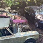 this abandoned alfa romeo dealer hides a some iconic cars 6894bf968f960