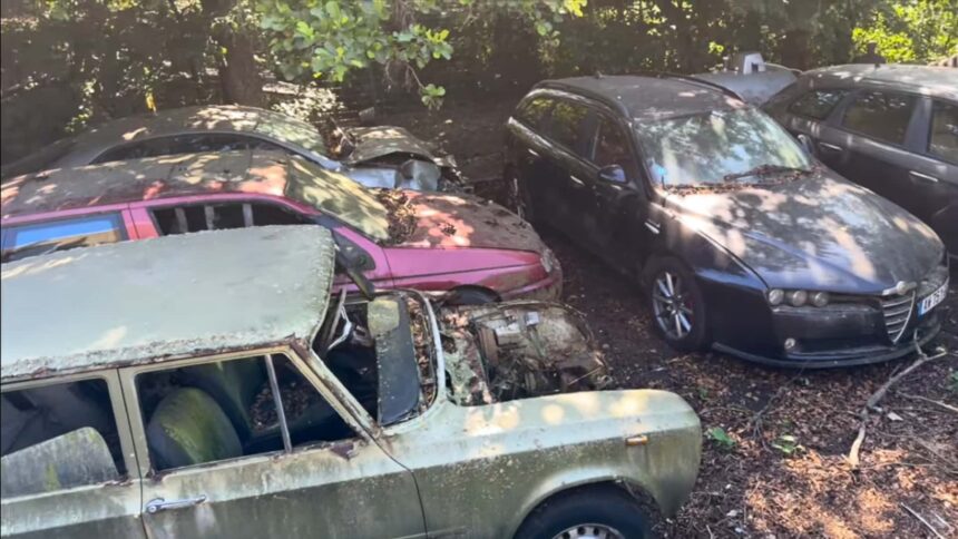 this abandoned alfa romeo dealer hides a some iconic cars 6894bf968f960