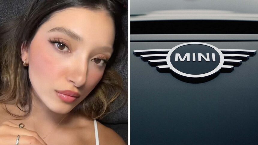woman asks tiktok whats wrong with her mini cooper then a mechanic in the comments figures it out just by listening to a sound 6890f6cc71d81