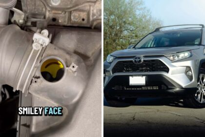 dont see this every day 2020 rav4 goes in for engine issue then the mechanic finds something unusual in the air filter 68dbe2fad67fa