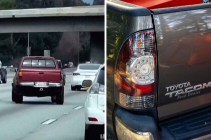 he drives in italics man spots toyota tacoma on the highway he cant believe its driveable 68cdfd1de9f12