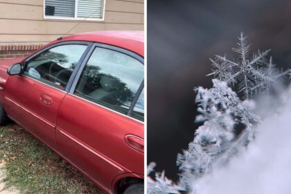 man says the ac in his 1997 ford escort gets colder faster than his modern ford its not just him 68ce6db470361