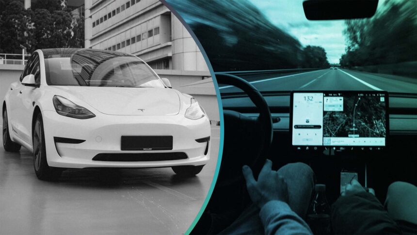 the car stopped itself tesla collision avoidance assist lives up to its name 68caf8cf49bc9