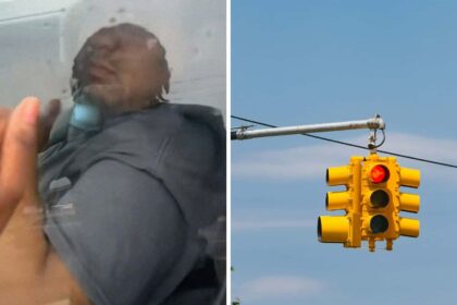 the way i would have put my car in park driver notices honda at stoplight then they get out knock on his window 68bed40463653