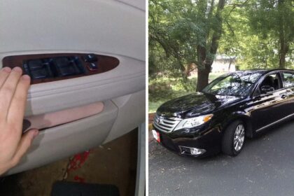 is that thing made out of gold mechanic gets hired to replace window switch whys it cost 1287 at napa 68e91212495a8