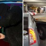 who are you woman catches thieves stealing neighbors g wagon then she pursues on foot 6904084f2a19b