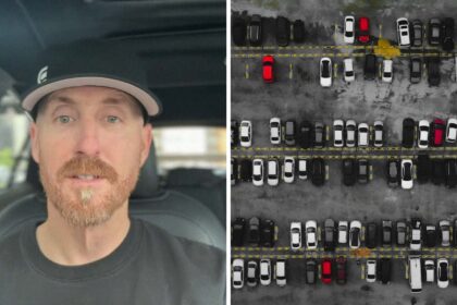 not in florida car expert says the market is crashing then he reveals why 690aa23888919