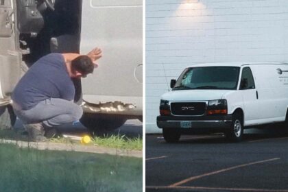 that fix will last longer than a cybertruck neighbor catches mobile mechanic fixing rust in van theres just one problem 691ddc0c7c02d